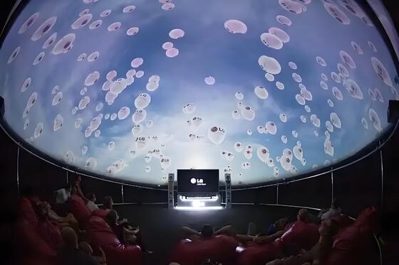 Giá tốt. Rạp chiếu phim 4D 9D VR Dome với ghế chuyển động cho công viên giải trí trực tuyến